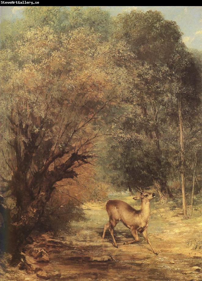 Gustave Courbet Deer